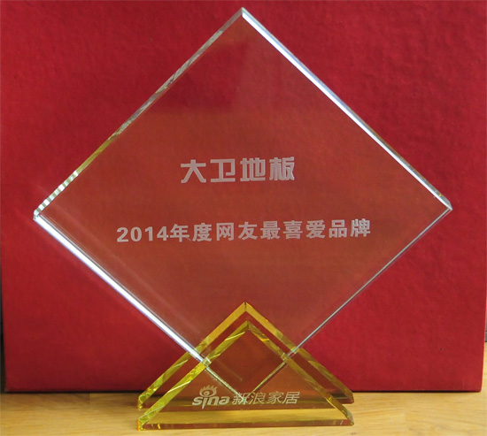 必一(中国)地板被授予“2014年度网友最喜爱品牌”殊荣.jpg