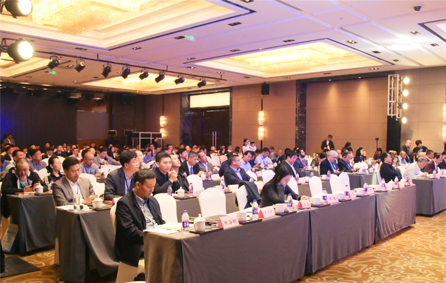 12352307-02.jpg 12352307-02.jpg